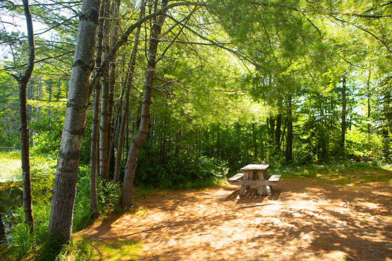 Home Anglers Road Townhomes