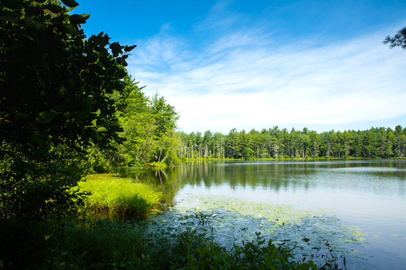 Home Anglers Road Townhomes